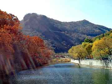 新澳天天开奖资料大全旅游团，天涯娱乐论坛